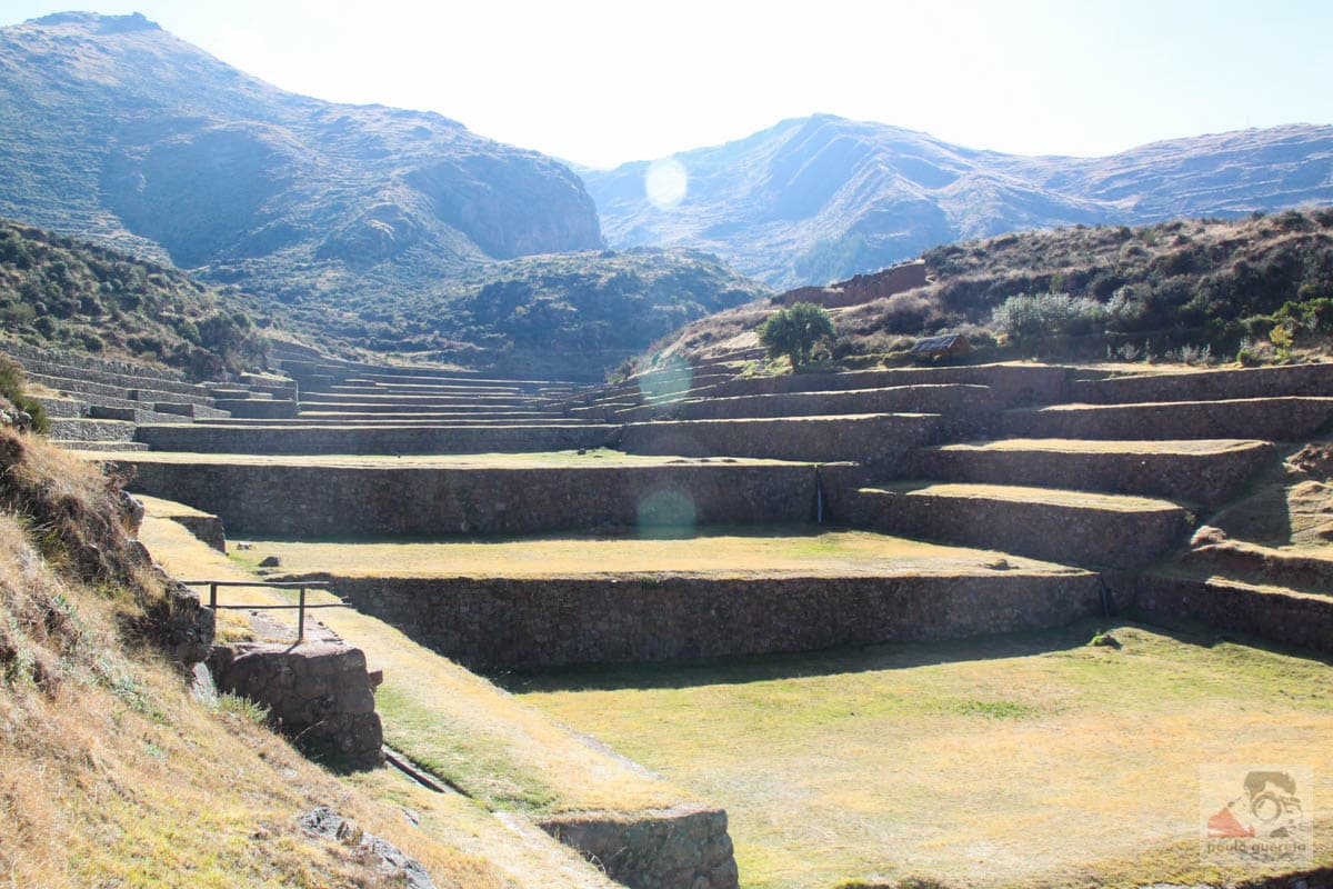 Tipón — photo 1